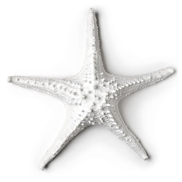 Starfish Wall Decor