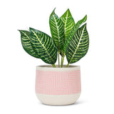 Etched Planter Pink Large