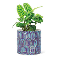 Printed Planter Blue Arches Large