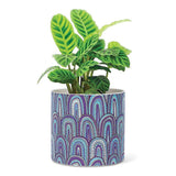 Printed Planter Blue Arches Large