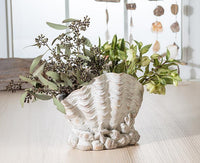 Seaside Scallop Planter