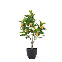 Orange Tree Small