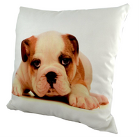 Bulldog Puppy Cushion