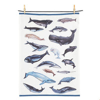 Whales Kitchen Towel