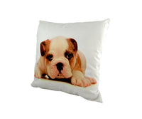 Bulldog Puppy Cushion