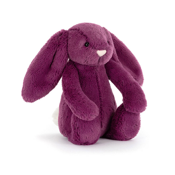 Bashful Bunny Allium Little