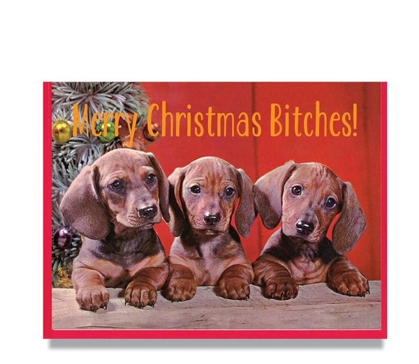 Merry Christmas Bitches Card