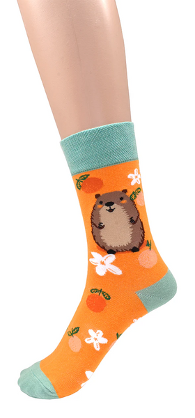 Women's Socks Capybara