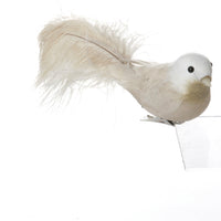 Feather Robin w/Clip Cream