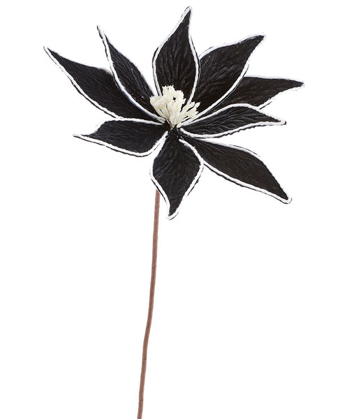 Black & White Poinsettia Stem