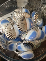 Seashell Cosmetic Brush